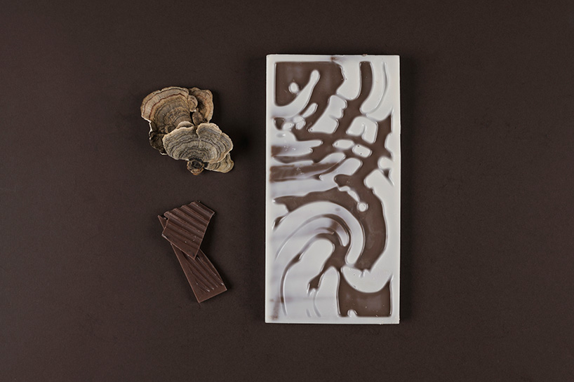 mushrooms chocolate protein bars